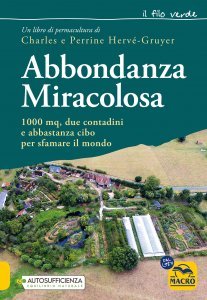 Abbondanza Miracolosa - Libro