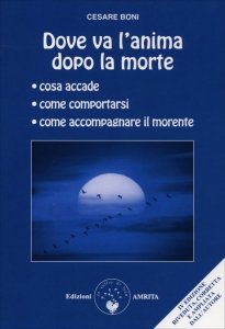 Dove va l'anima dopo la morte - Libro