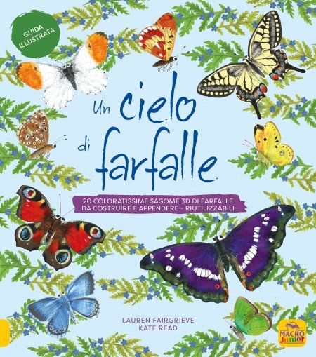 Un cielo di farfalle - Guida illustrata