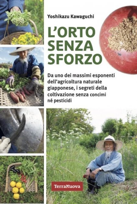 Orto senza sforzo - Libro