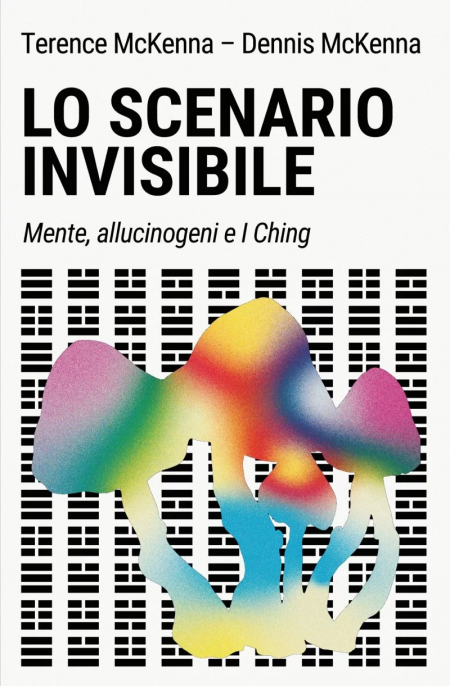 Lo scenario invisibile - Libro