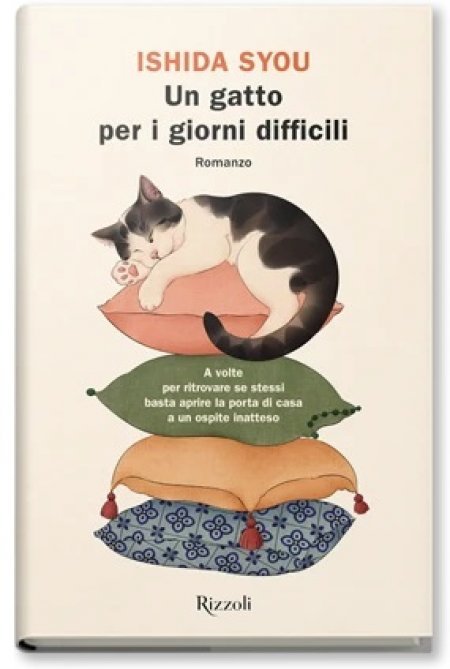 Un gatto per i giorni difficili - Libro