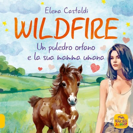 Wildfire - Libro