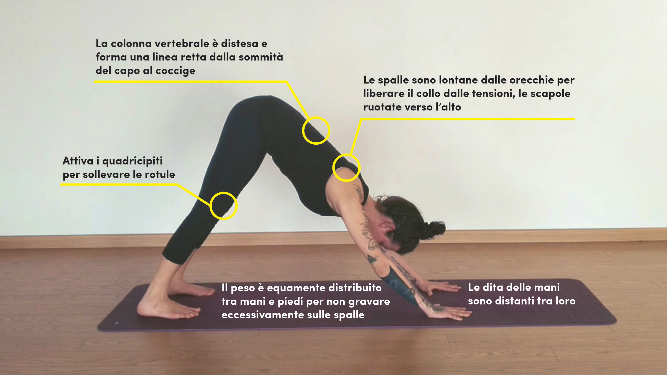 La Scimmia Yoga Domande E Risposte Domande e Risposte